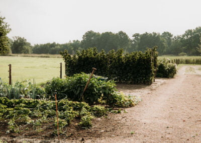 Moestuin - bijhein